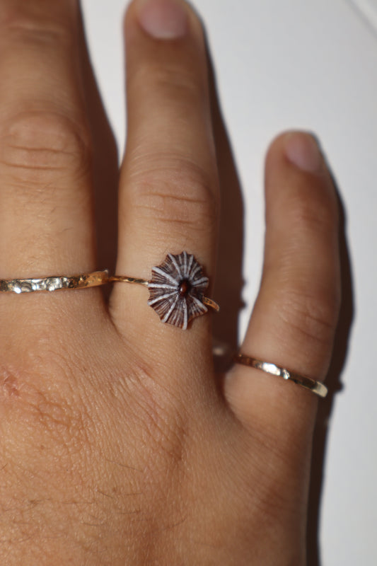 `Opihi `Awa Ring (16/18 Gauge)
