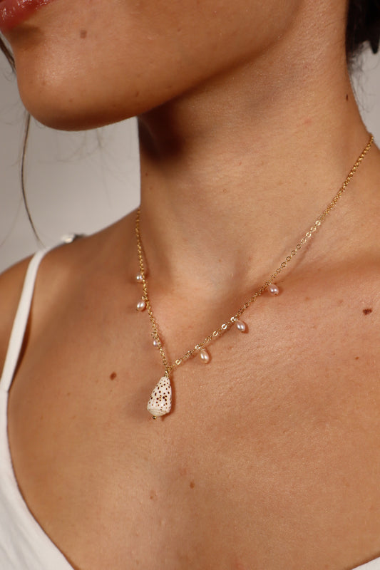 Kai Shell Necklace