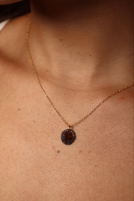 `Opihi `Awa Pendant