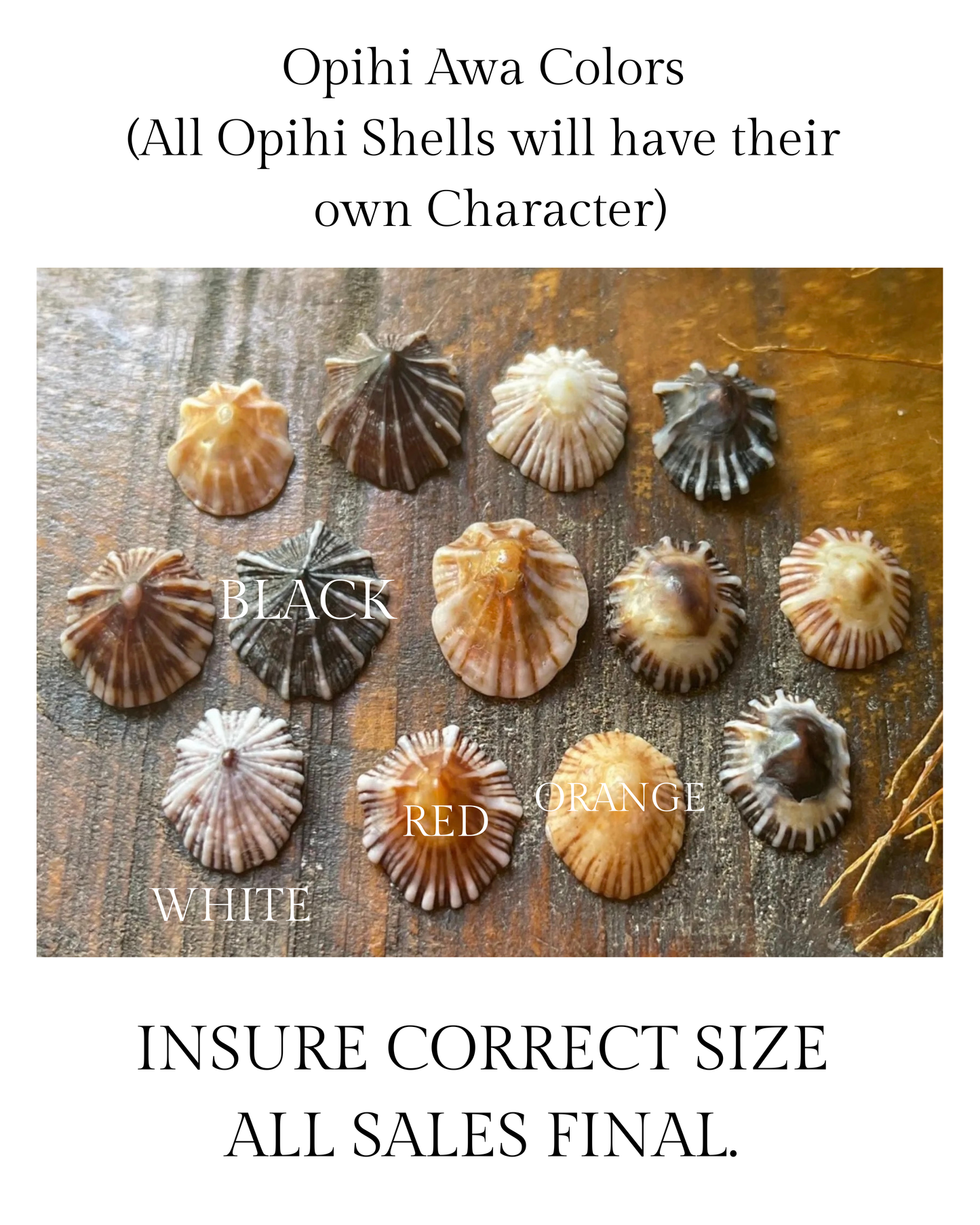 `Opihi `Awa Ring (16/18 Gauge)
